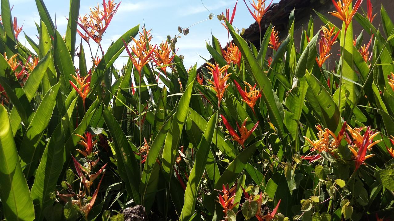 Sonhos Meu Pousada Praia de Boraceia Bagian luar foto